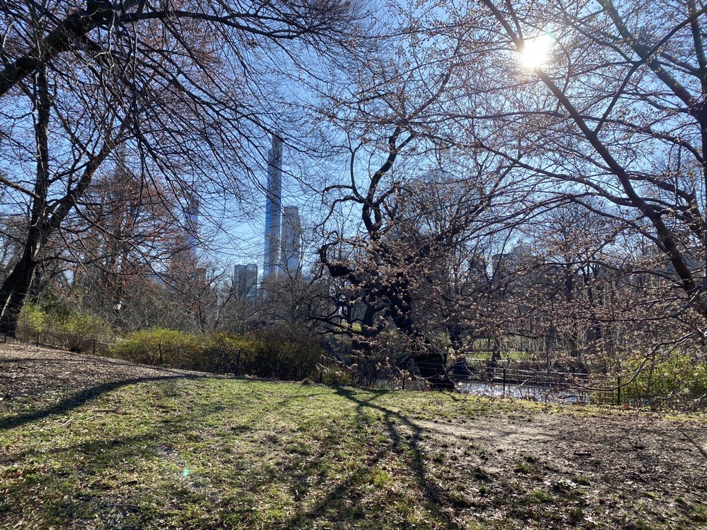 Central Park Romance